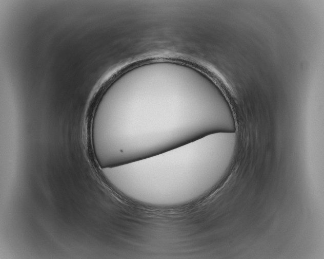 X0000116681270200912140958