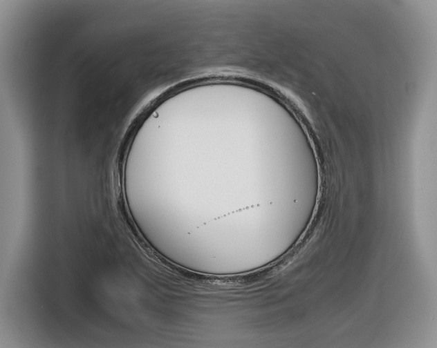 X0000116681271200912140958