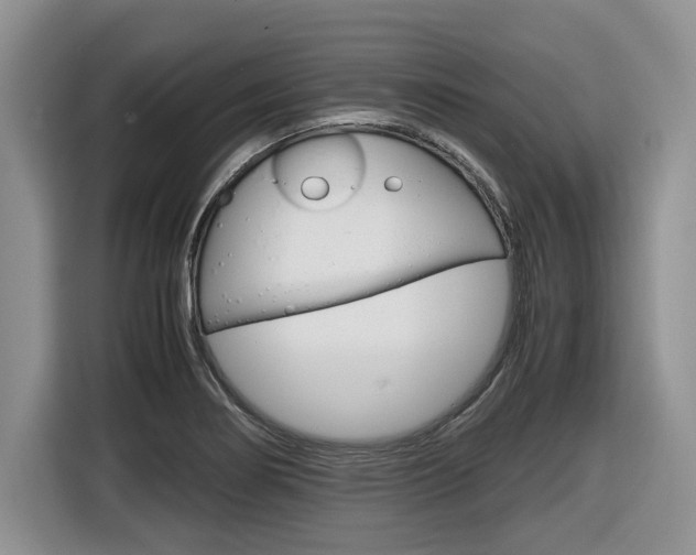 X0000116681274200912140958