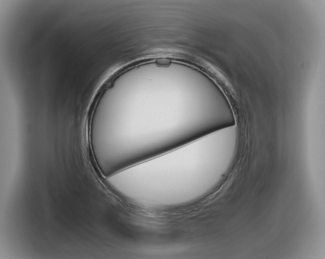 X0000116681275200912140958