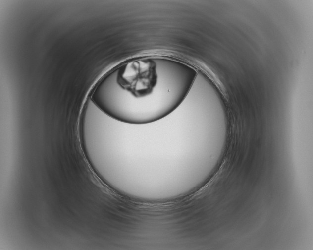 X0000116681276200912140958