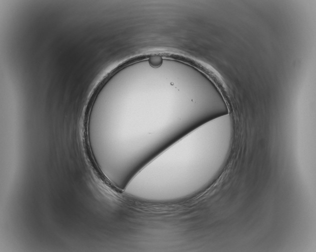 X0000116681279200912140958