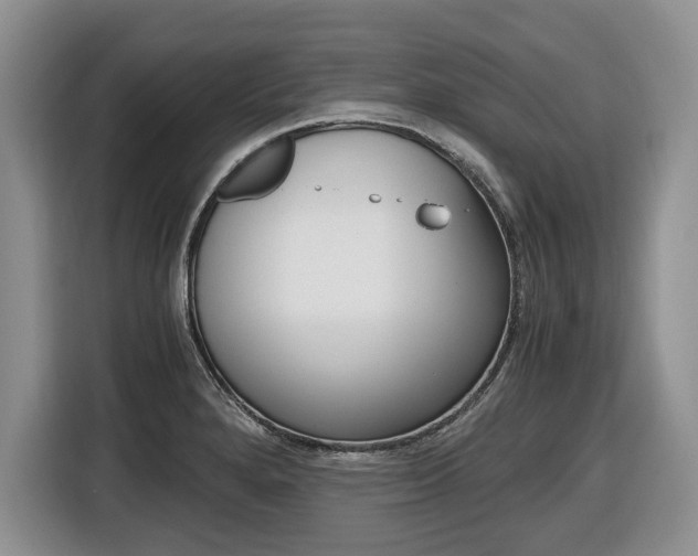 X0000116681280200912140958