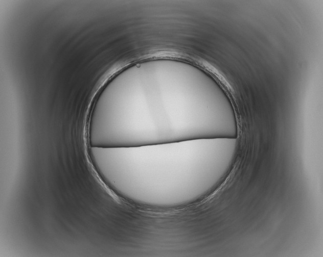 X0000116681282200912140958