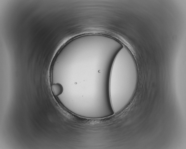 X0000116681283200912140958