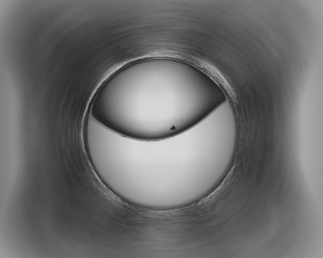 X0000116681284200912140958