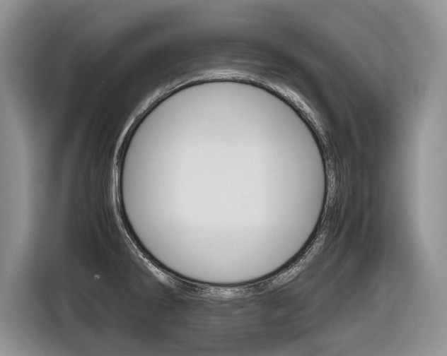 X0000116681286200912140958