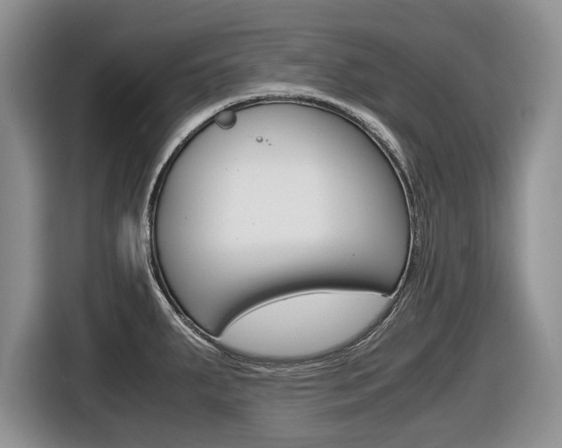 X0000116681287200912140958