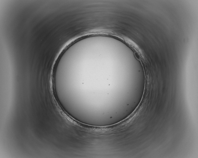 X0000116681288200912140958