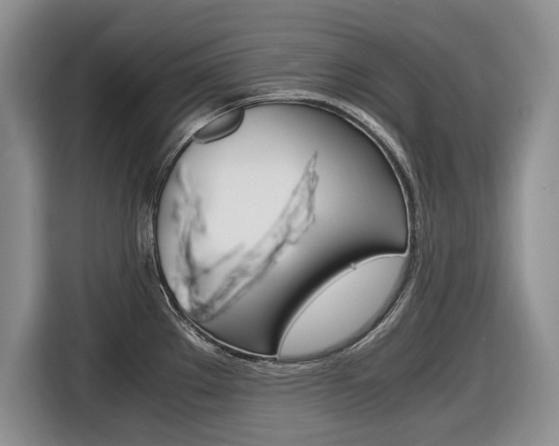 X0000116681289200912140958