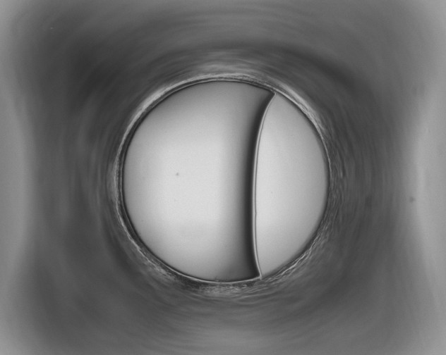 X0000116681291200912140958