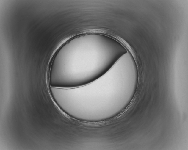 X0000116681293200912140958