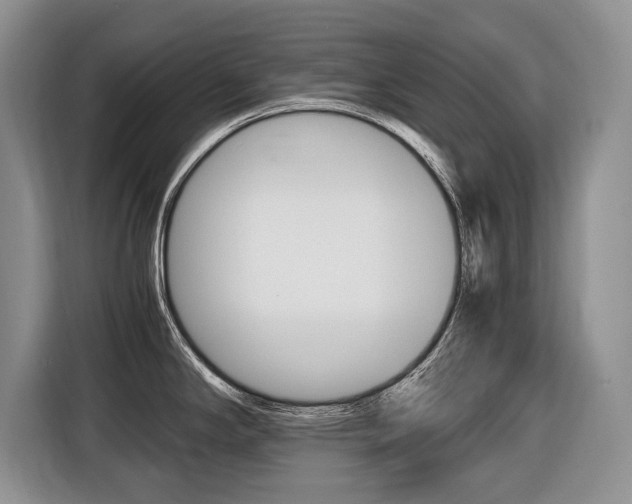 X0000116681294200912140958