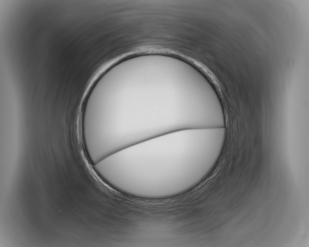 X0000116681295200912140958