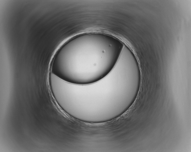 X0000116681296200912140958