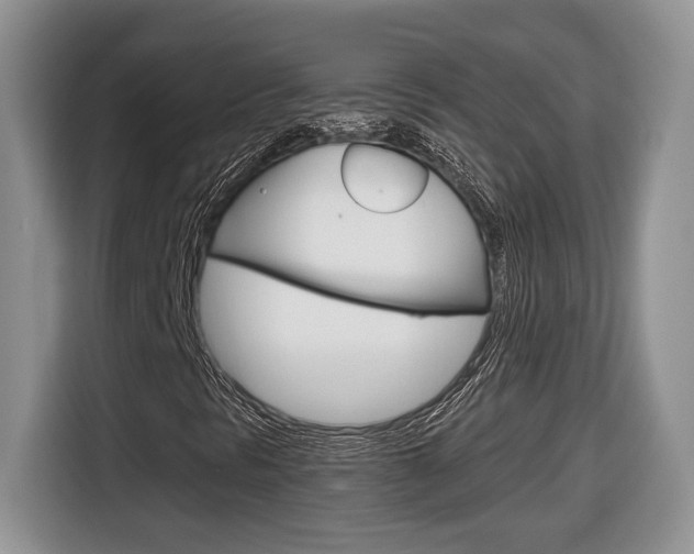 X0000116681297200912140957
