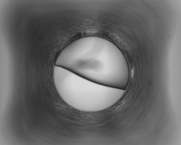 X0000116681299200912140957