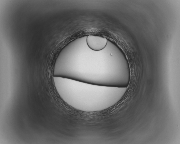 X0000116681301200912140957
