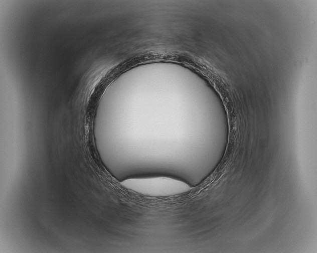 X0000116681302200912140957
