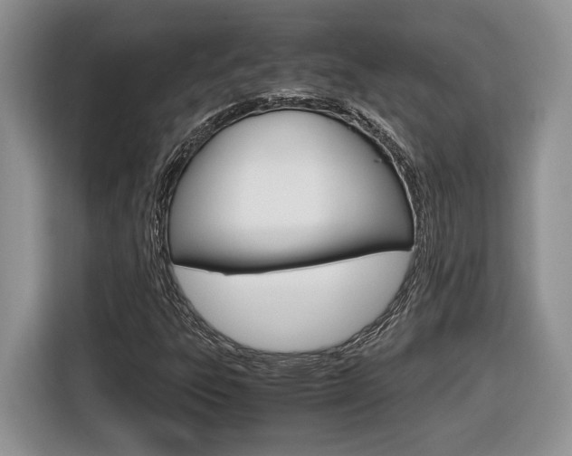 X0000116681303200912140957