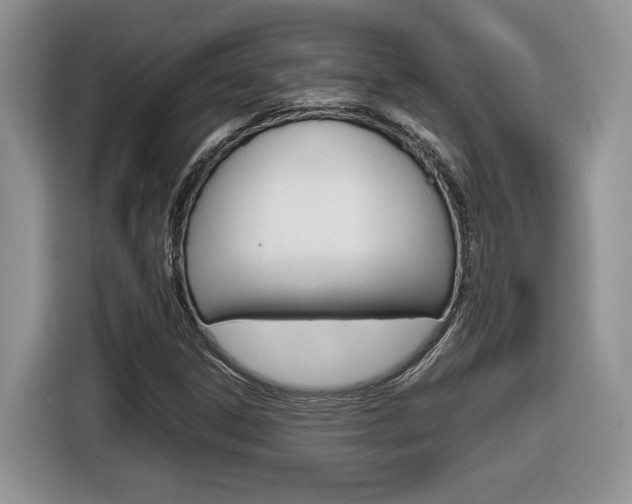 X0000116681306200912140957