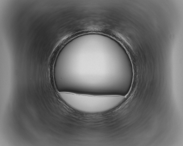 X0000116681307200912140957