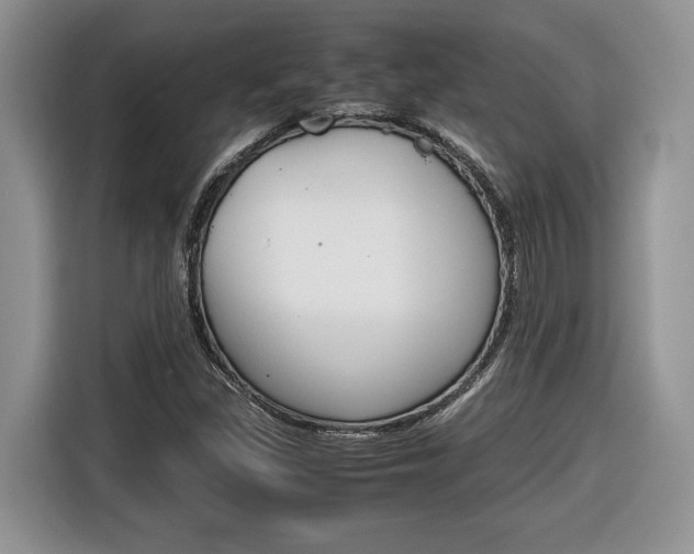 X0000116681309200912140957