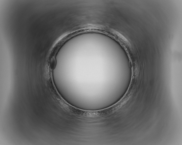 X0000116681310200912140957