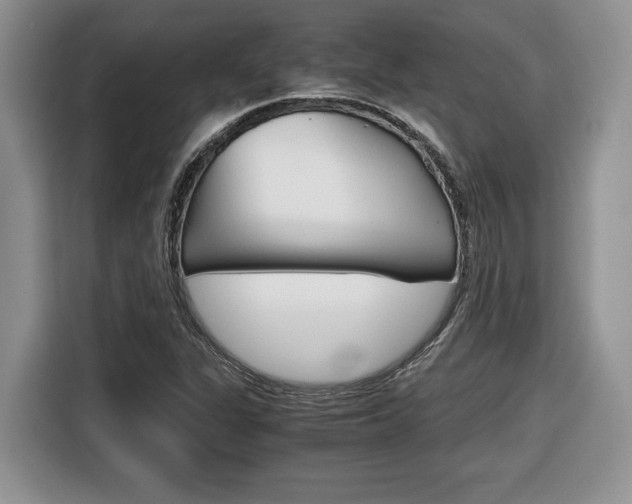 X0000116681311200912140957