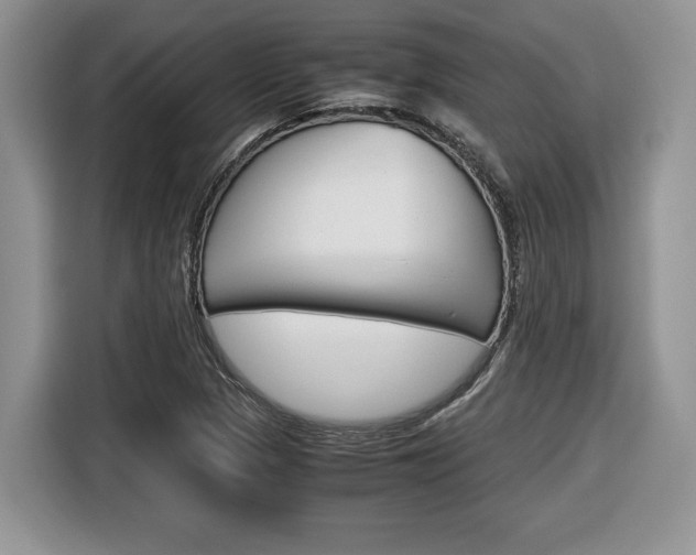 X0000116681313200912140957