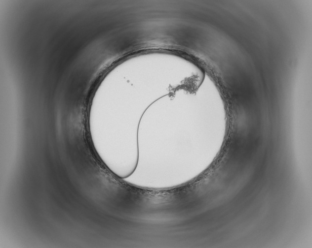 X0000116681314200912140957