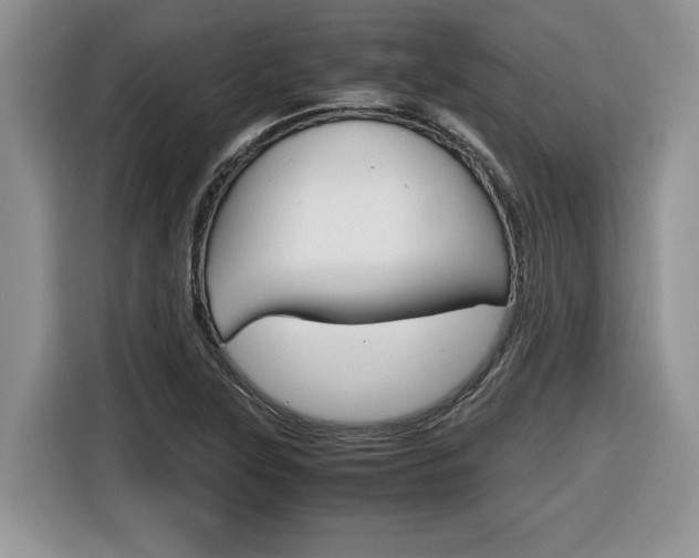 X0000116681315200912140957