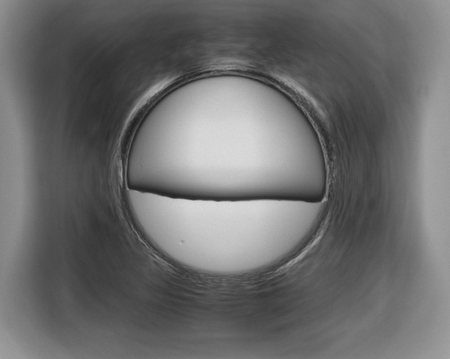 X0000116681317200912140957