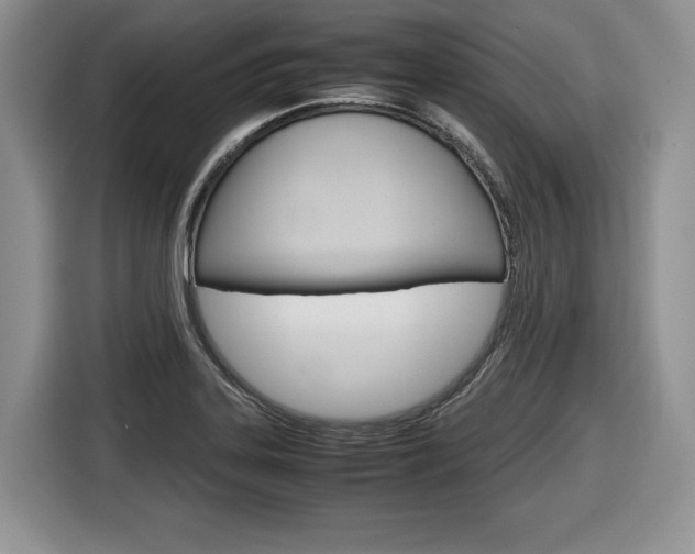 X0000116681323200912140957