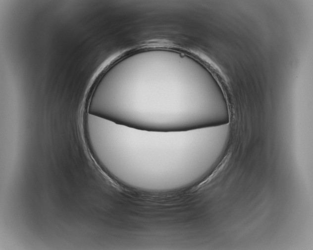 X0000116681325200912140957