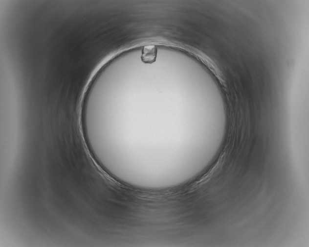 X0000116681326200912140957