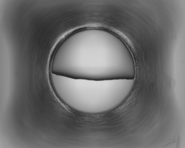 X0000116681327200912140957