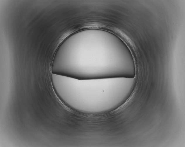 X0000116681329200912140957