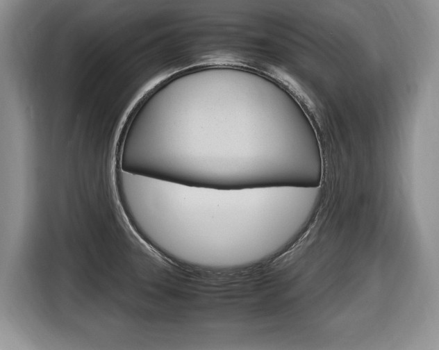 X0000116681331200912140957