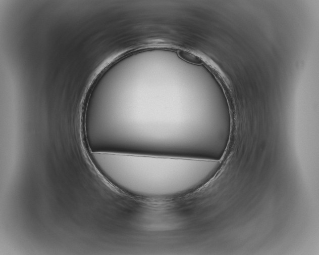 X0000116681333200912140957