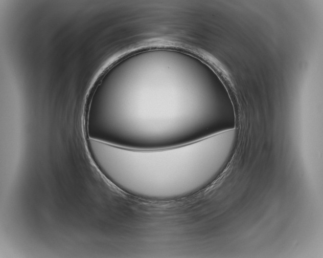 X0000116681334200912140957