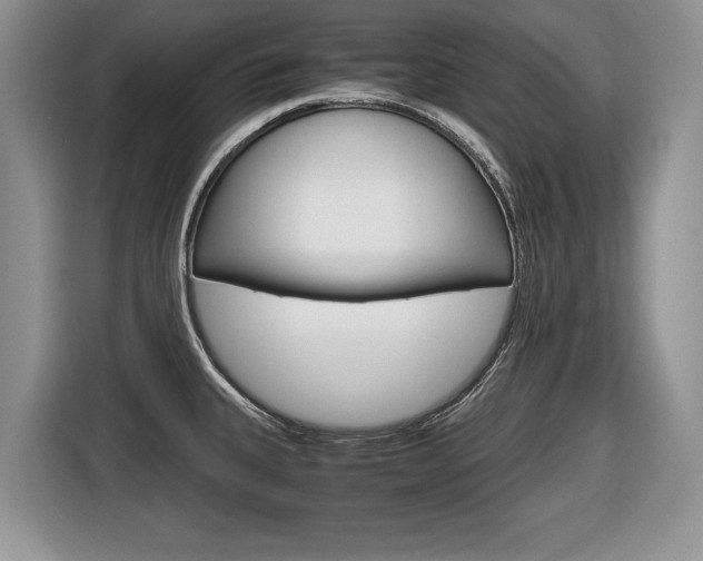 X0000116681335200912140957