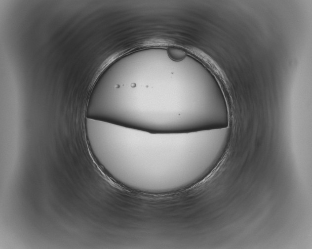 X0000116681337200912140958