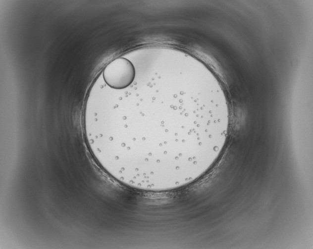 X0000116681338200912140958