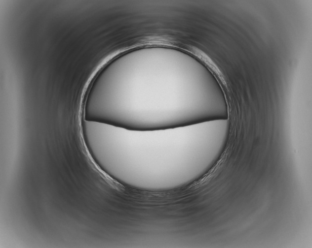 X0000116681339200912140958
