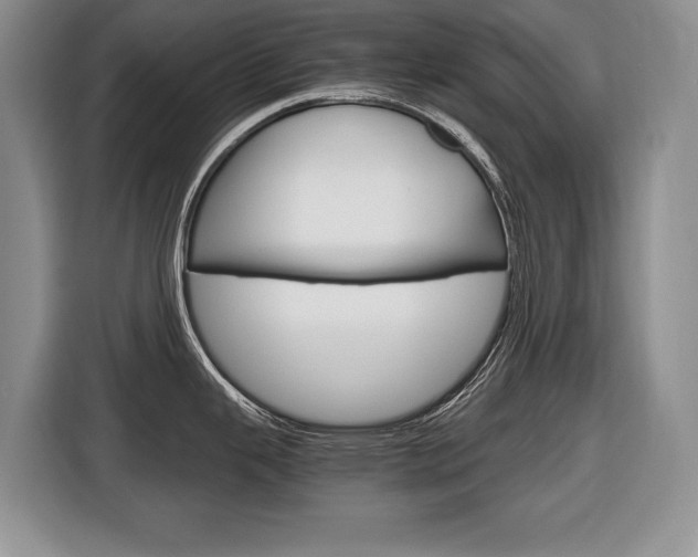 X0000116681343200912140958