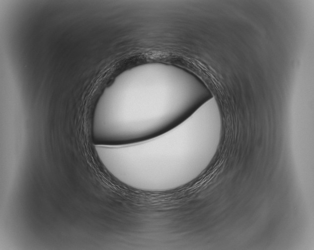 X0000116681345200912140957