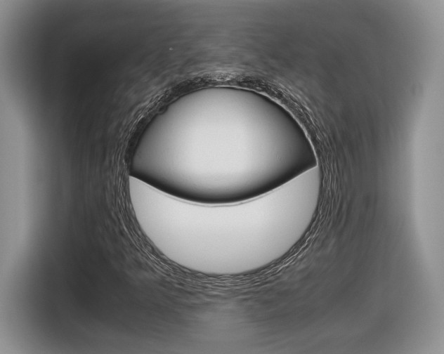 X0000116681349200912140957