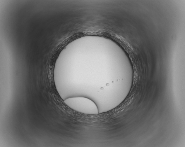 X0000116681350200912140957