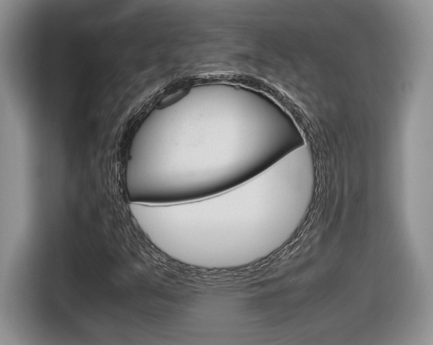 X0000116681351200912140957